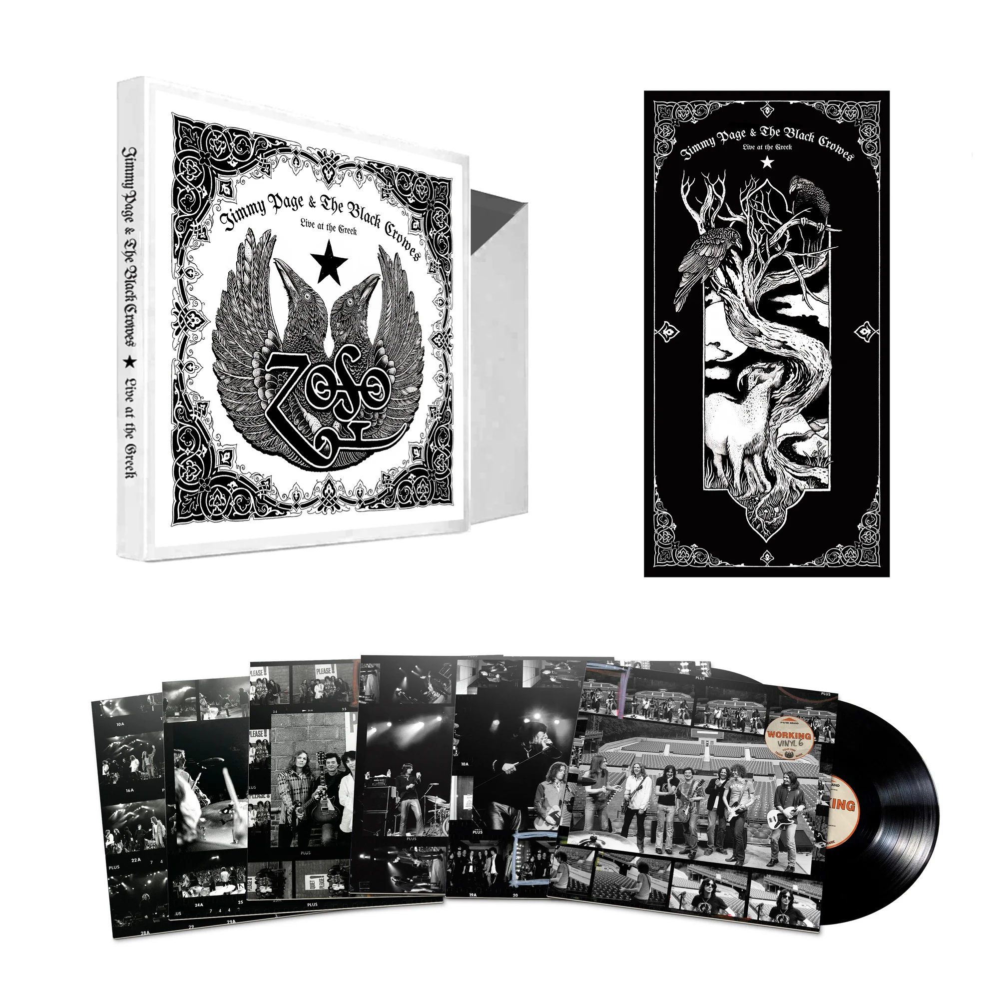 Jimmy Page & The Black Crowes - Live at the Greek - Image 4