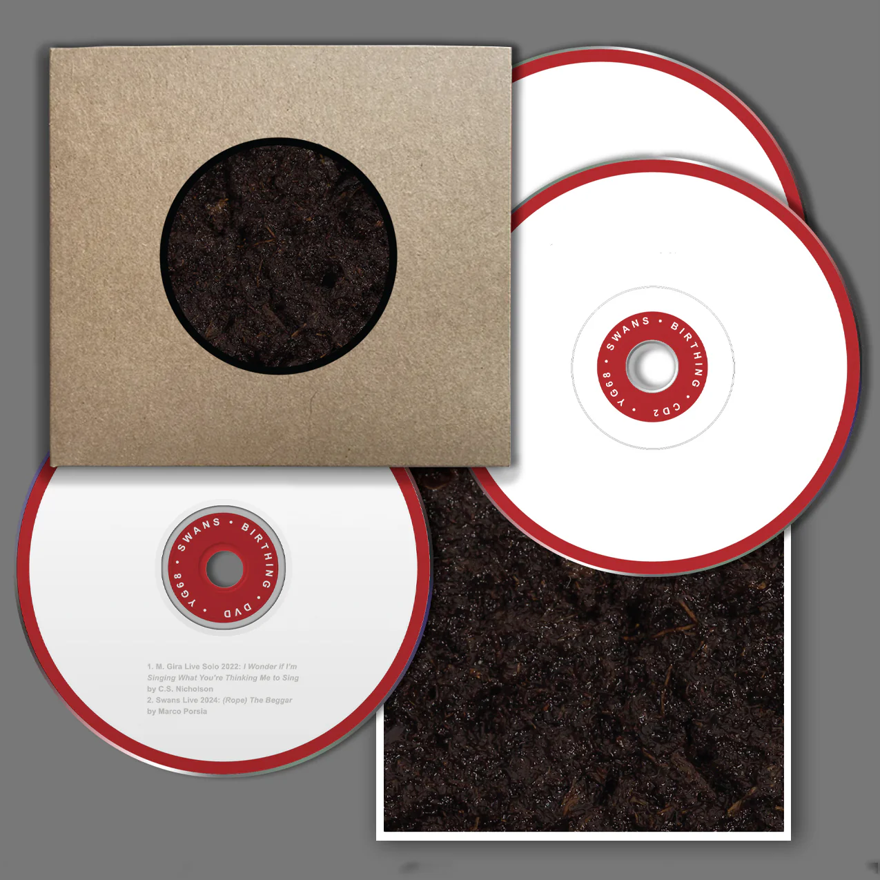 Swans - Birthing - Image 3