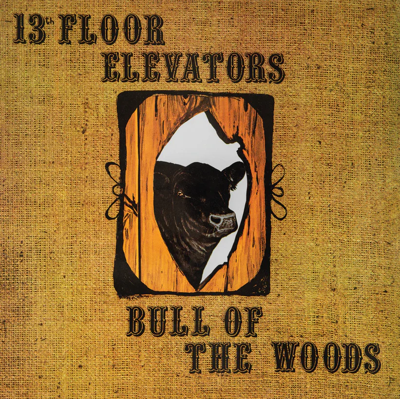 The 13th Floor Elevators - Bull Of The Woods