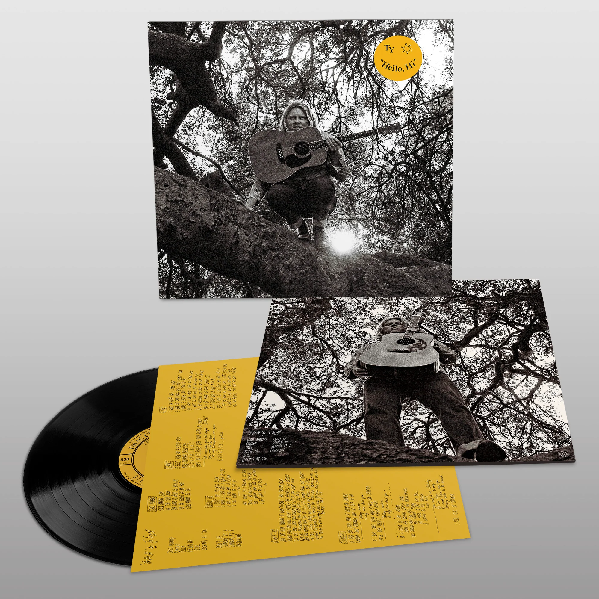 Ty Segall - "Hello, Hi" - Image 2