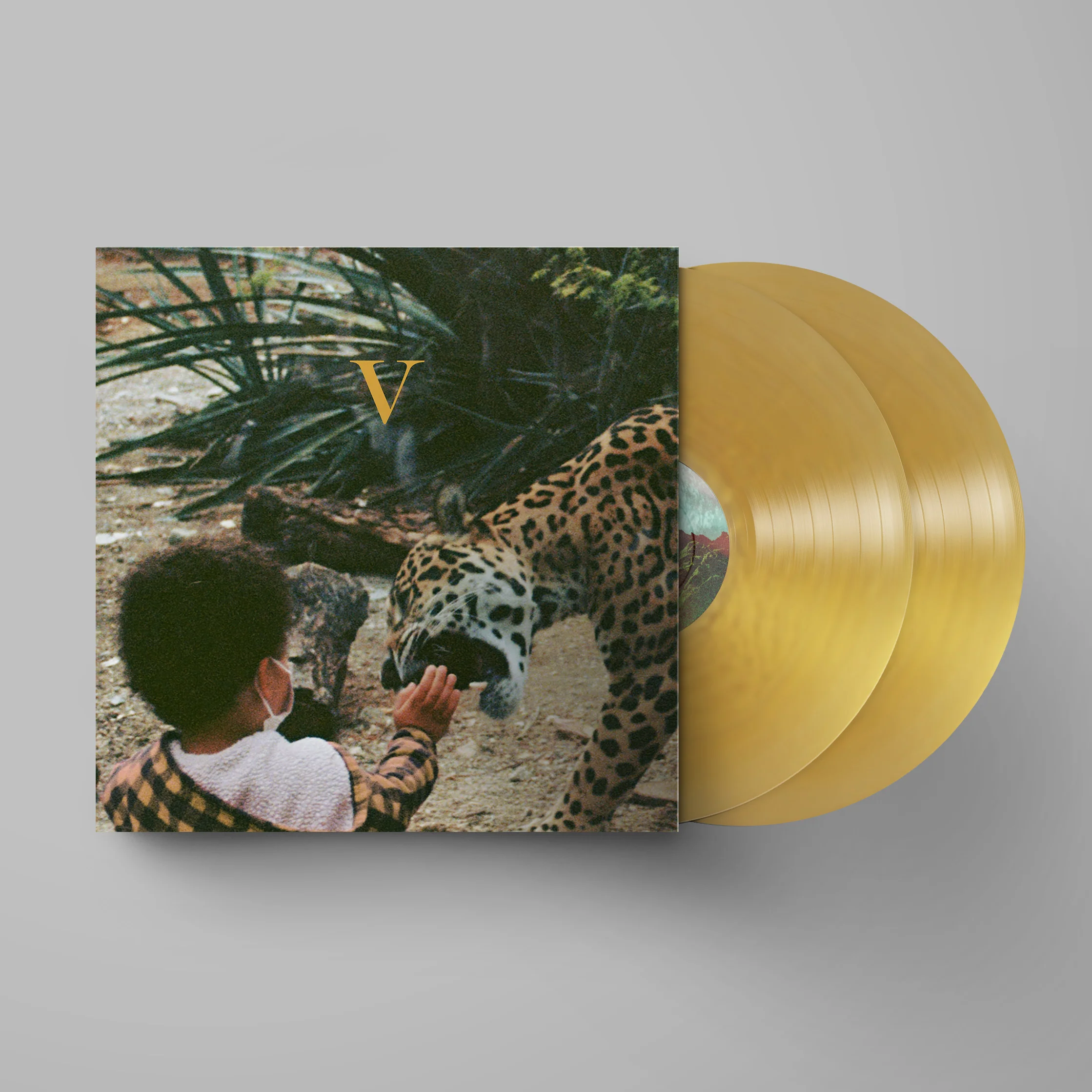 Unknown Mortal Orchestra - V - Image 2