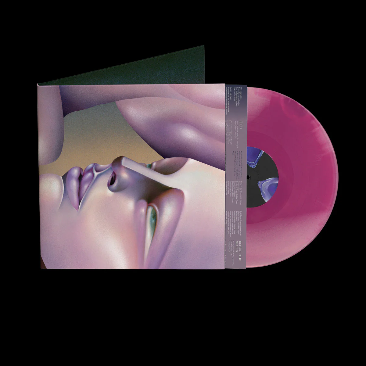 Walt Disco - The Warping - Image 2